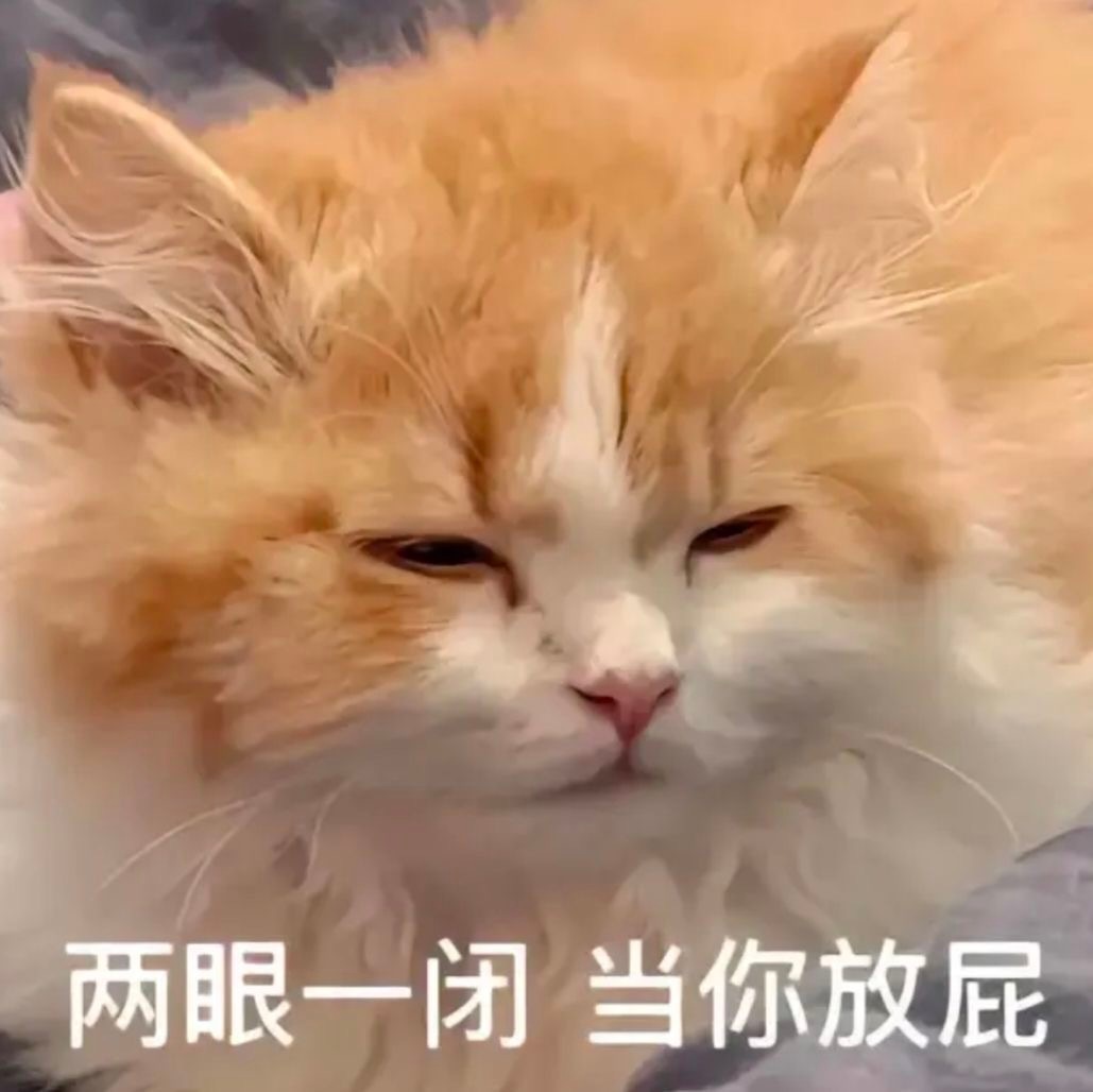 两眼一闭当你放屁 - 猫咪猫猫表情包