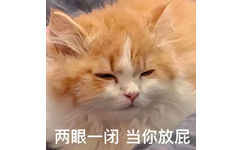 两眼一闭当你放屁 - 猫咪猫猫表情包