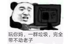 玩你妈,一群垃圾,完全带不动老子