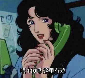 喂110吗这里有鸡