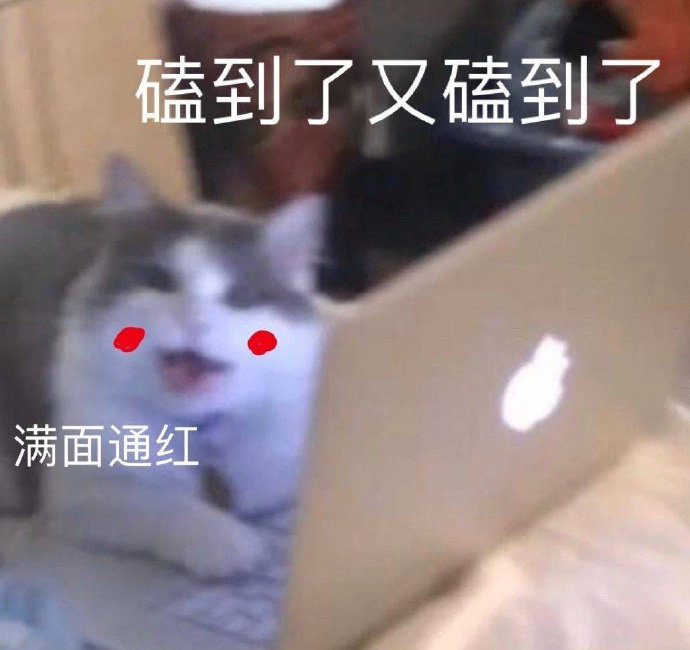 磕到了又磕到了 猫咪脸红表情包