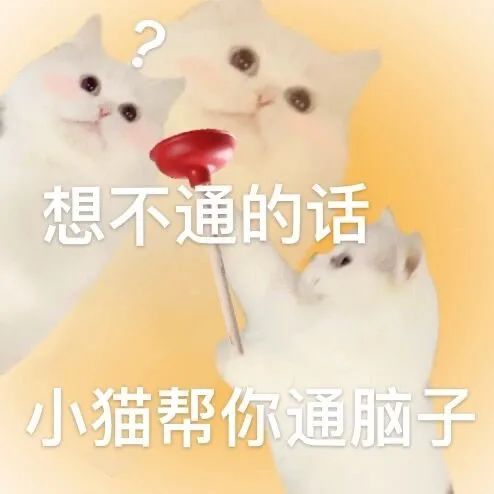 想不通的话小猫帮你通脑子