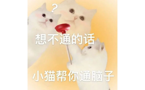 想不通的话小猫帮你通脑子