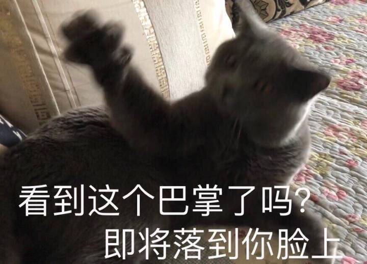 看到这个巴掌了吗，即将落到你脸上 - 猫星人表情包第十弹