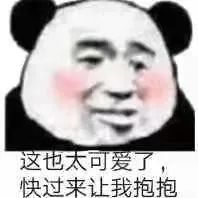 这也太可爱了快过来让我抱抱