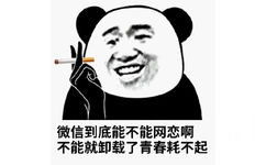 微信到底能不能网恋啊不能就卸载了青春耗不起