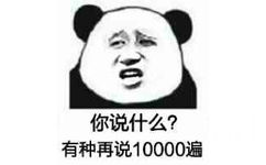 你说什么？有种再说10000遍！