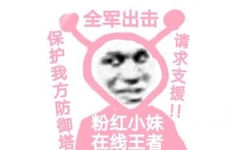 全军出击保护我方防御塔请求支援粉红小妹在线王者 - 粉红小妹王者荣耀表情包