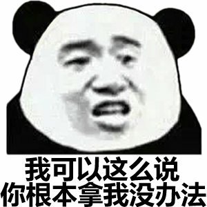 我可以这么说，你根本那我没办法（熊猫头）