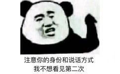 注意你的身份和说话方式我不想看见第二次(熊猫头)