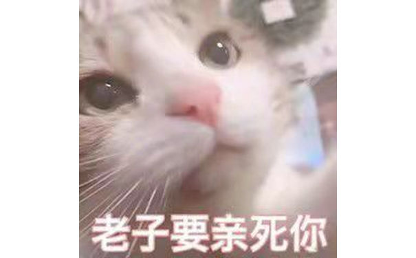 老子要亲死你(猫咪表情包)