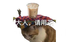 大人，请用茶