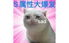 S属性大爆发sad