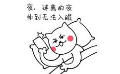 夜，迷离的夜帅到无法入眠 - 神经猫超贱表情