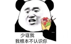 少诓我 我根本不认识你（熊猫头）