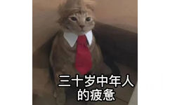 三十岁中年人的疲惫(猫猫表情包)