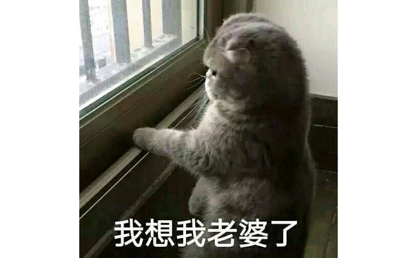 我想我老婆了 - 一组猫表情，喵喵