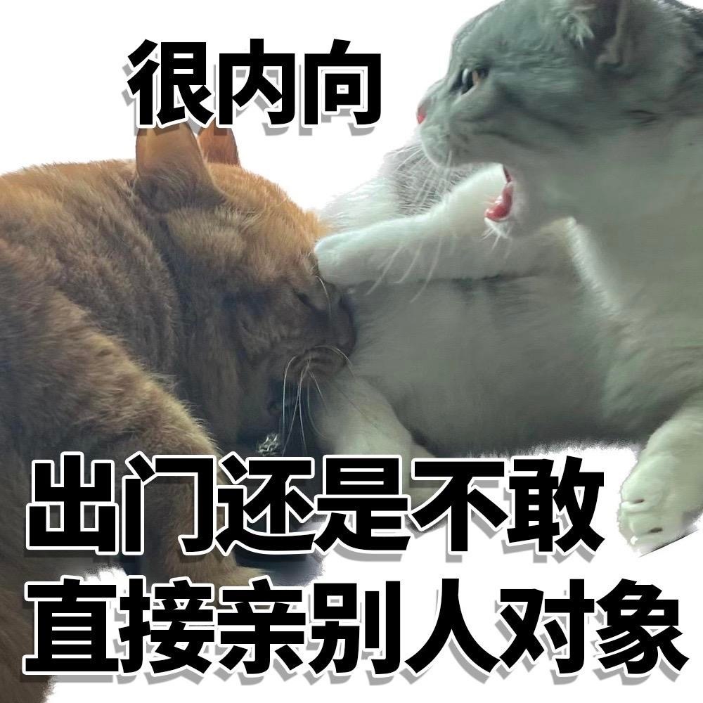 很内向出门还是不敢直接亲别人对象 - 很内向很外向猫猫表情包