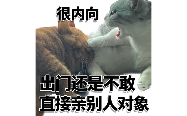 很内向出门还是不敢直接亲别人对象 - 很内向很外向猫猫表情包