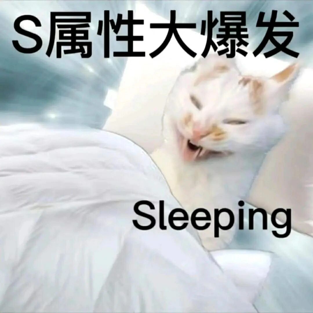 S属性大爆发Sleeping - S属性大爆发表情包