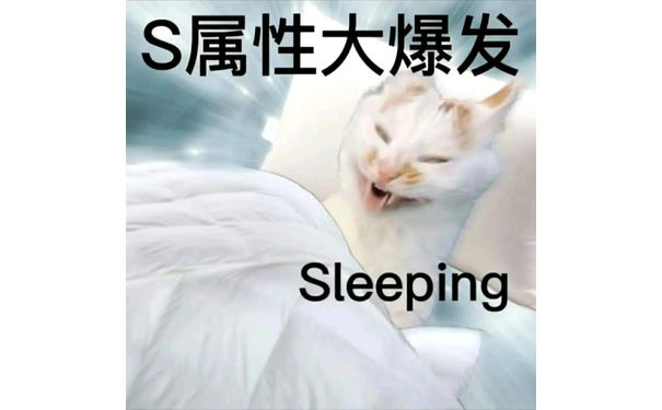 S属性大爆发Sleeping - S属性大爆发表情包