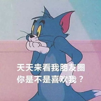 天天来看我朋友圈 你是不是喜欢我？ - 猫和老鼠表情包系列