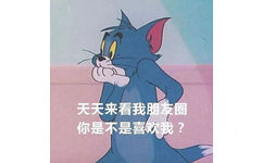 天天来看我朋友圈 你是不是喜欢我？ - 猫和老鼠表情包系列