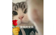 做我的女孩(猫猫表情包)