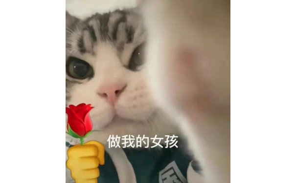 做我的女孩(猫猫表情包)