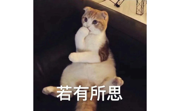 猫咪若有所思