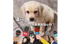 请问你对今年脱单有信心吗?TV NEWS NEWS