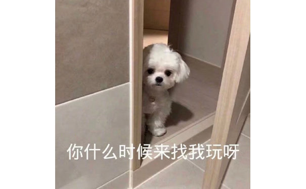 你什么时候来找我玩呀