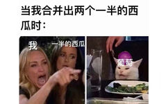 当我合并出两个一半的西瓜时:我一半的西瓜葡萄 - 合成大西瓜表情包