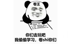 卷王你们去玩吧我偷偷学习,卷shi你们