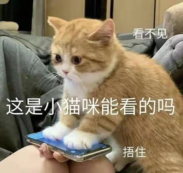 看不见这是小猫咪能看的吗捂住