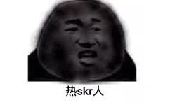 热 skr人（熊猫头skr表情包 ​）