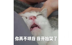 呜呜呜你再不哄我我开始哭了 - 今日份猫猫表情包