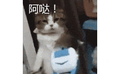 阿哒！猫咪击打 GIF