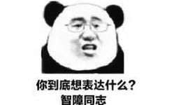 你到底想表达什么？智障同志 - 我总是这样英俊出场好惆怅！