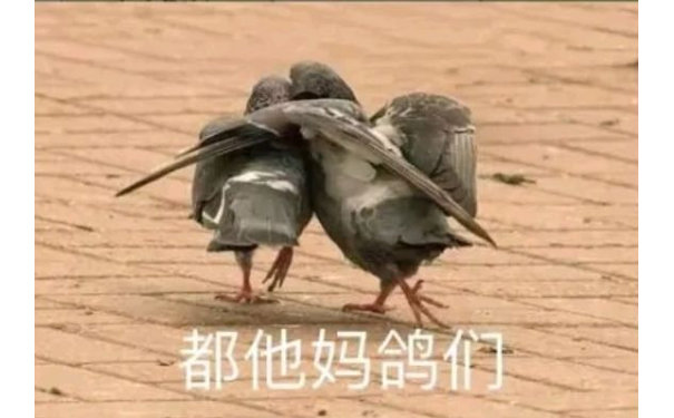 都他妈鸽们