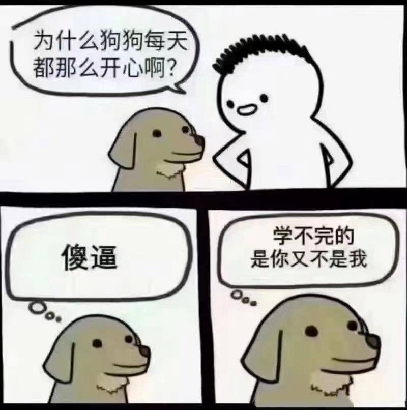 为什么狗狗每天都那么开心啊?学不完的傻逼是你又不是我