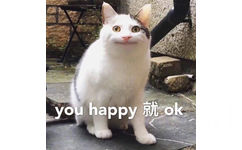 you happy就ok