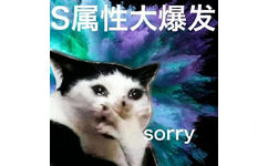 S属性大爆发sorry