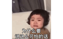 为什么要说这么可怕的话(罗熙)