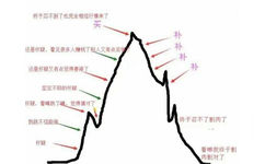 抄底 割肉 - 伤心基金人表情包