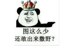 图这么少，还敢出来撒野？（金馆长头戴皇冠）