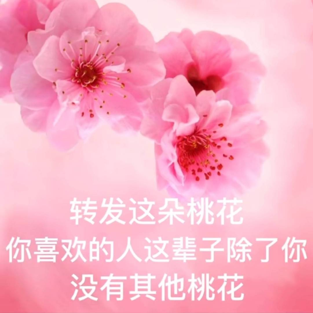 转发这朵桃花你喜欢的人这辈子除了你没有其他桃花