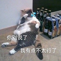 你别说了 我有点不行了（猫咪流泪表情包）