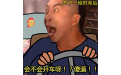 开了一段时间后会不会开车呀!?傻逼!! - 开车也是一种修行