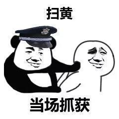 扫黄当场抓获 - 当场逮捕表情包系列